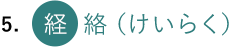 5. 経絡(けいらく)